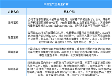 2024年中國氫氣產(chǎn)量及重點企業(yè)預(yù)測分析（圖）