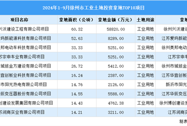 抓项目扩投资 2024年1-9月徐州市工业投资TOP10项目土地投资超250公顷