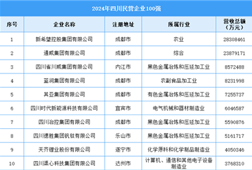 2024年四川民营企业100强