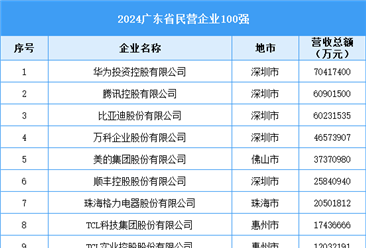 2024广东省民营企业100强（附榜单）