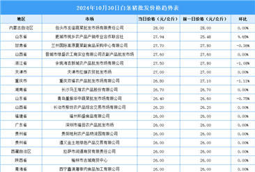 2024年10月31日全国各地最新白条猪价格行情走势分析