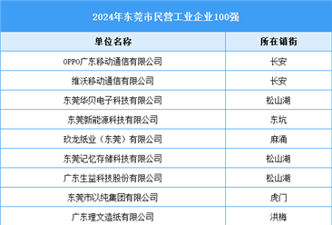 2024年东莞市民营工业企业100强（附名单）