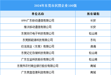 2024年东莞市民营企业100强（附名单）