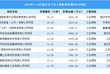 【项目投资跟踪】2024年1-10月盐城市工业土地投资TOP10项目盘点