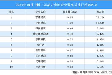 2024年10月中国三元动力电池企业装车量排行榜TOP10（附榜单）