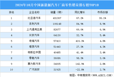 2024年10月中国新能源汽车厂商零售销量排行榜TOP10（附榜单）