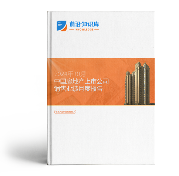 2024年10月中国房地产行业经济运行情况月度报告