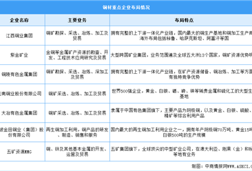 2024年中国铜材产量及重点企业预测分析（图）