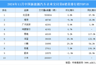 2024年11月中国新能源汽车企业交付量&销量排行榜TOP10（附榜单）