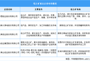 2024年中国铝土矿产量及重点企业预测分析（图）