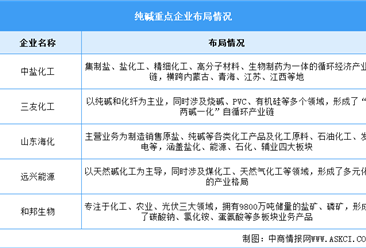 2025年中国纯碱产量及重点企业预测分析（图）