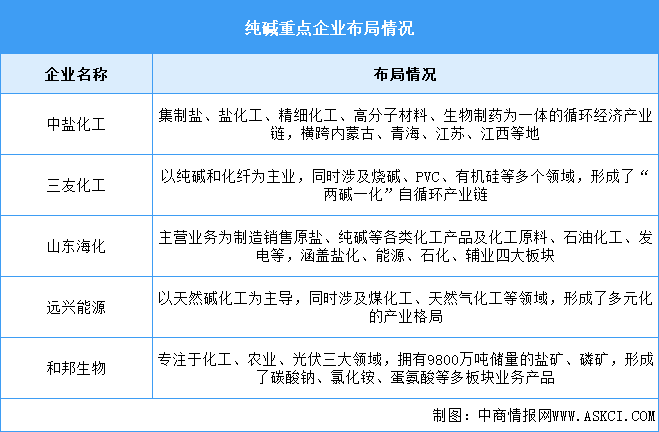 2025年中国纯碱产量及重点企业预测分析（图）