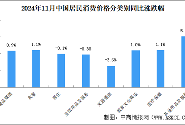 2024年11月份居民消费价格CPI同比上涨0.2% 食品价格下降2.7%%（图）