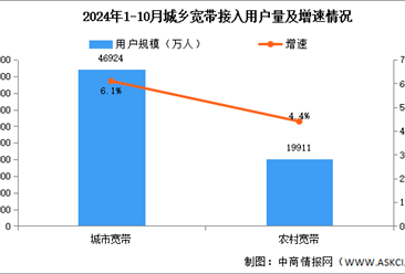 2024年1-10月互联网累计计入流量及城乡宽带接入用户分析（图）