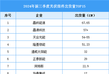 2024年前三季度中国光伏组件企业出货量排行及行业发展前景分析（图）