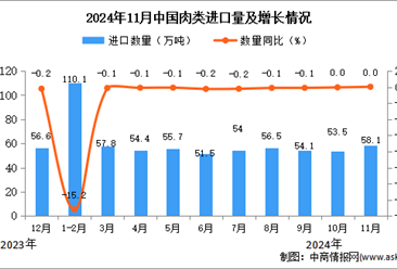 2024年11月中国肉类进口数据统计分析：进口量58.1万吨