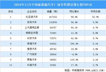 2024年11月中國新能源汽車廠商零售銷量排行榜TOP10（附榜單）