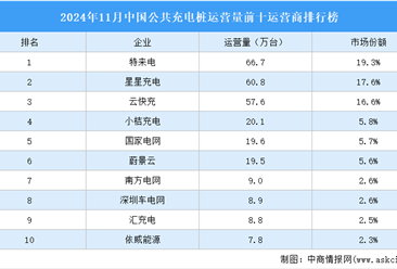 2024年11月中国公共充电桩运营量前十运营商排行榜（附榜单）