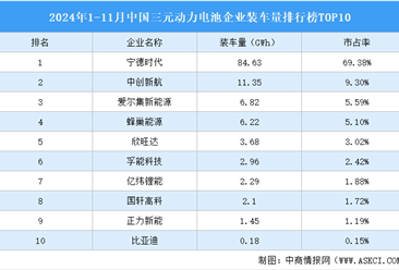 2024年1-11月中国三元动力电池企业装车量排行榜TOP10（附榜单）