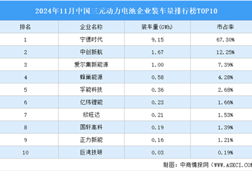 2024年11月中国三元动力电池企业装车量排行榜TOP10（附榜单）