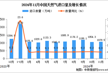 2024年11月中国天然气进口数据统计分析：进口量1079.5万吨