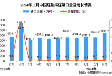 2024年11月中国煤及褐煤进口数据统计分析：进口量同比增长0.3%