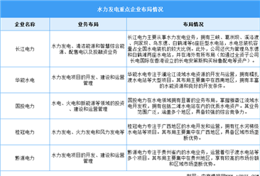 2025年中国水力发电发电量及重点企业预测分析（图）