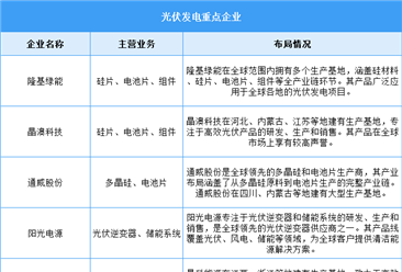 2025年中国光伏发电累计装机容量及重点企业预测分析（图）