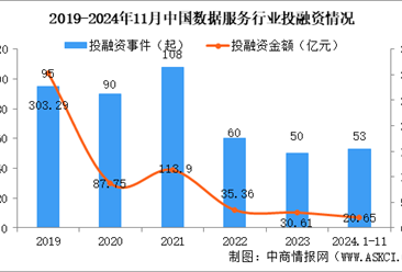 2024年1-11月中国数据服务行业投融资情况分析（图）