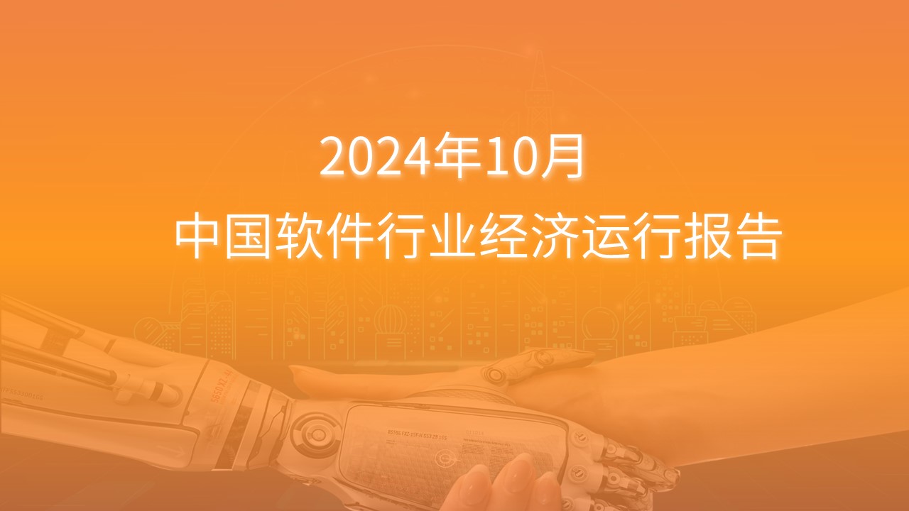 2024年1-10月中国软件行业经济运行报告（附全文）