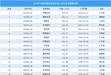 2024年中国电池化学品行业上市企业市值排行榜（附榜单）