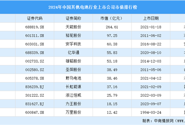 2024年中國其他電池行業(yè)上市公司市值排行榜（附榜單）