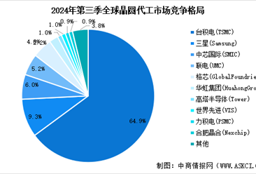 2025年中国晶圆代工行业市场前景预测研究报告（简版）