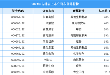 2024年吉林省上市公司市值排行榜（附榜單）