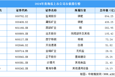 2024年青海省上市公司市值排行榜（附榜單）