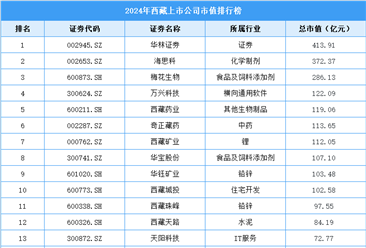 2024年西藏上市公司市值排行榜（附榜單）