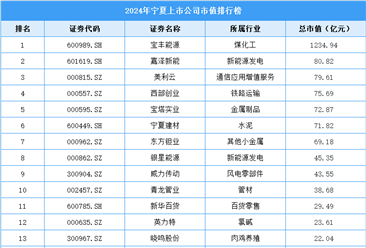 2024年寧夏上市公司市值排行榜（附榜單）