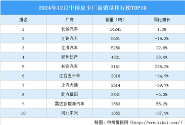 2024年12月中国皮卡厂商销量排行榜TOP10（附榜单）