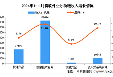 2024年1-11月中国软件业务收入及分领域运行情况分析（图）