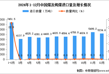 2024年12月中國煤及褐煤進(jìn)口數(shù)據(jù)統(tǒng)計(jì)分析：進(jìn)口量同比增長0.1%