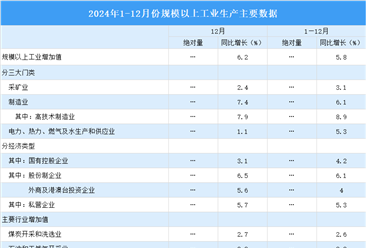 2024年12月中国规上工业增加值增长6.2% 制造业增长7.4%（图）