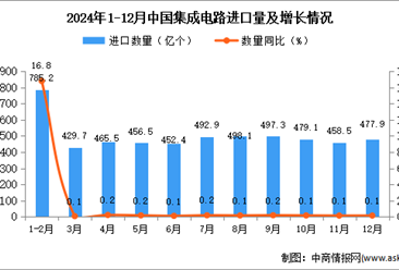 2024年12月中國集成電路進口數據統計分析：進口量477.9億個