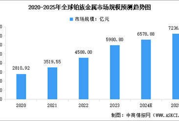 2025年中国铂族金属市场前景投资研究报告（简版）