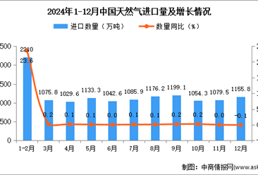 2024年12月中国天然气进口数据统计分析：进口量1155.8万吨