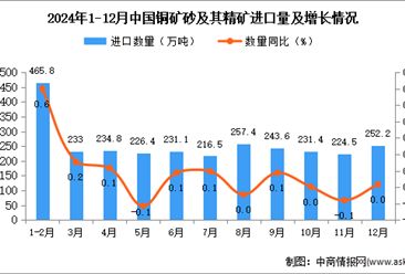 2024年12月中国铜矿砂及其精矿进口数据统计分析：进口量252.2万吨