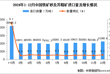 2024年12月中国铁矿砂及其精矿进口数据统计分析：进口量11248.6万吨