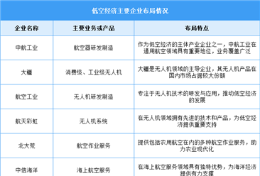 2025年中国低空经济市场规模及重点企业布局情况预测分析（图）