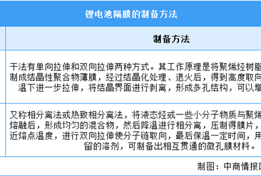 2025年中国锂电池隔膜行业市场前景预测研究报告（简版）