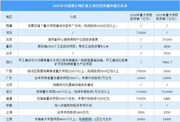 2025年中国部分地区重大项目投资额和相关表述（图）