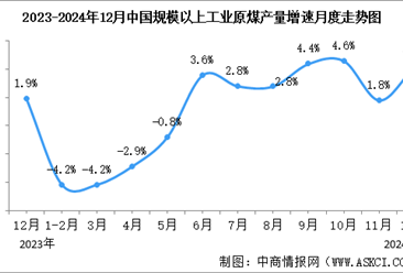 2024年12月中国能源生产情况：规模以上工业原煤等平稳增长